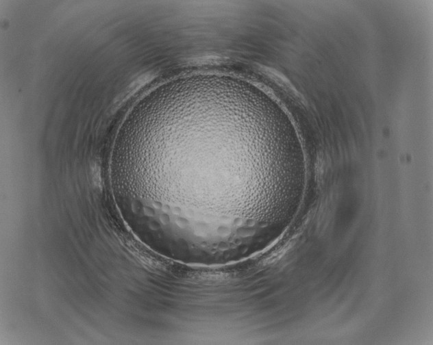 X0000076371209200610161041