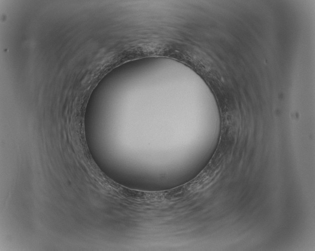 X0000076371249200610161041