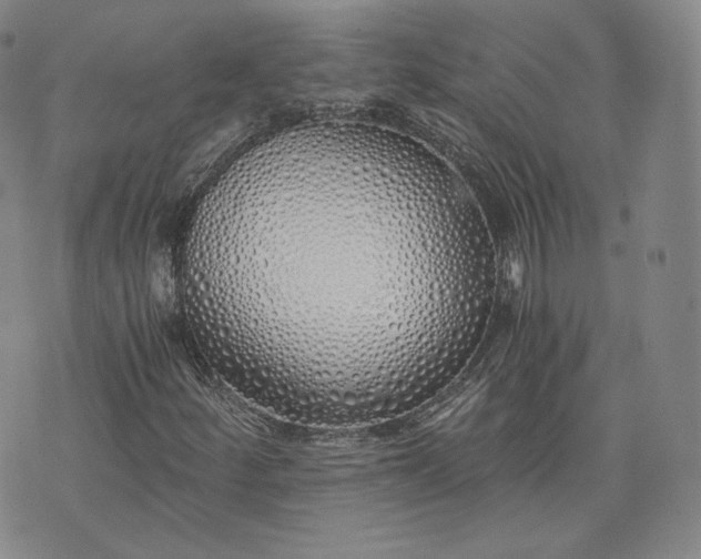 X0000076371252200610161041
