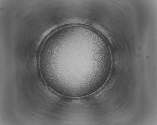 X0000076371264200610161041