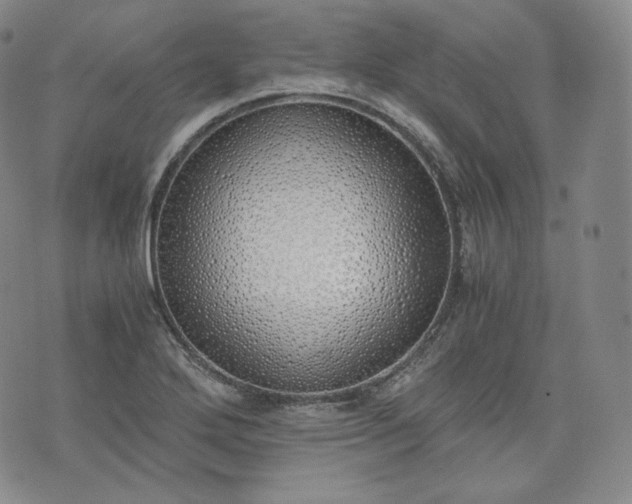 X0000076371272200610161041
