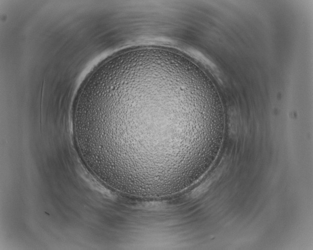 X0000076371280200610161041