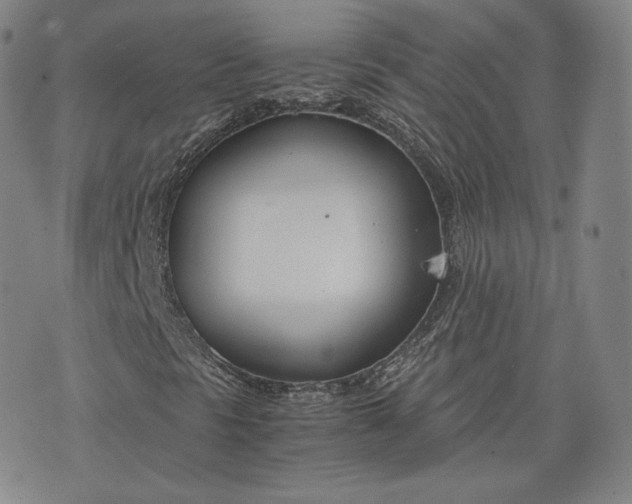X0000076371297200610161040