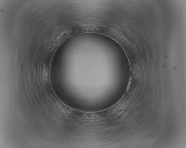 X0000076371298200610161040