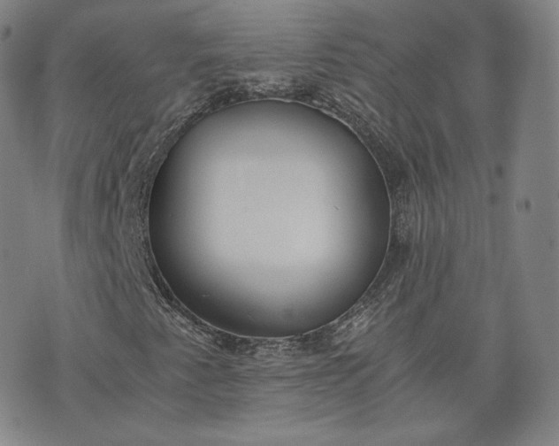 X0000076371345200610161040