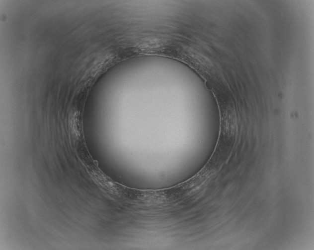 X0000076371346200610161040