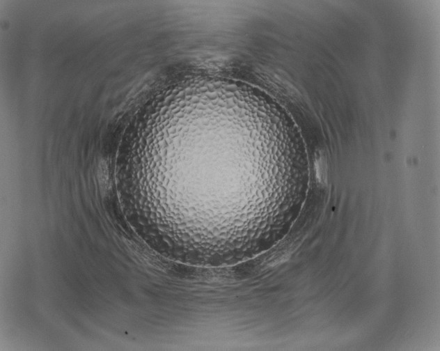 X0000076371347200610161040