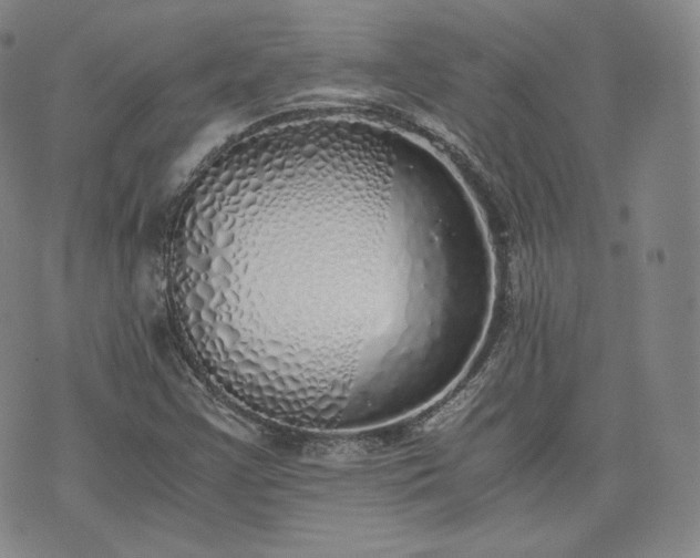 X0000076371355200610161039