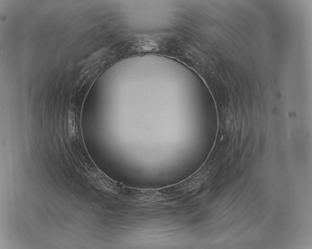 X0000076371442200610161038