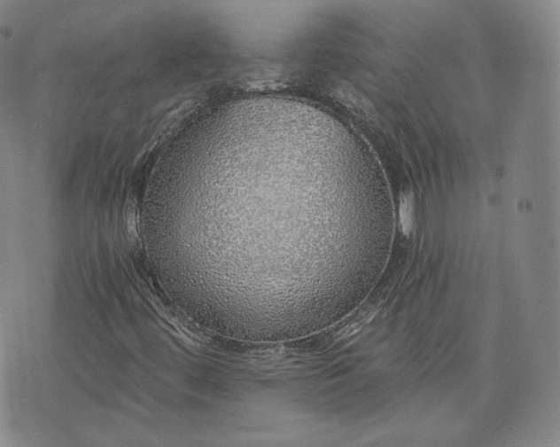 X0000076371444200610161038