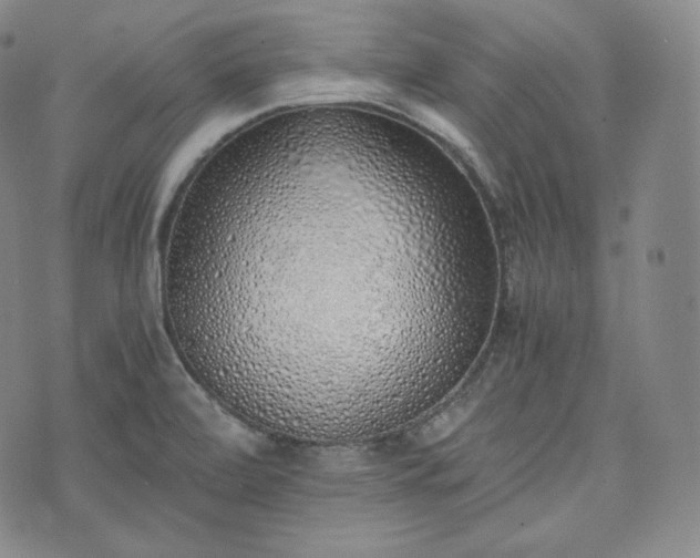 X0000076371472200610161038