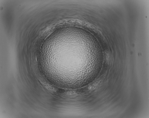 X0000076371489200610161037