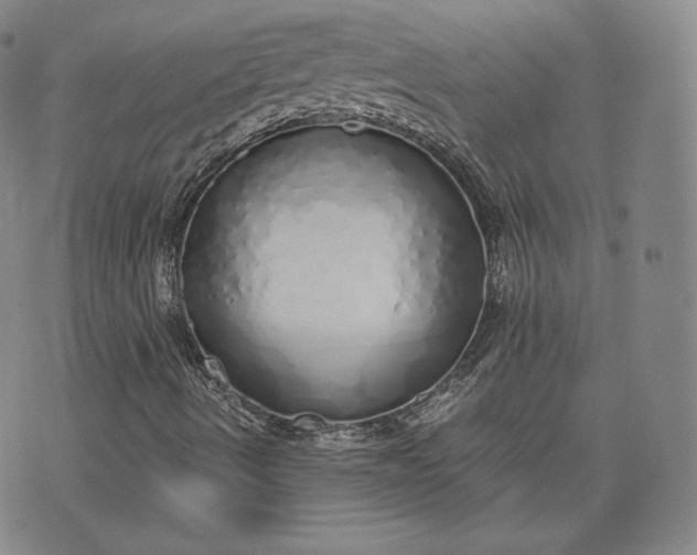 X0000076371490200610161037