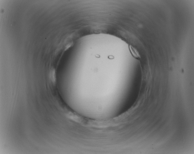 X0000076370041200610202025