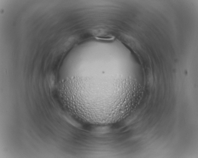 X0000076370081200610202025