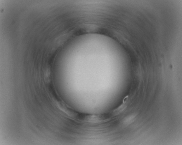 X0000076370082200610202025