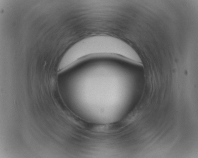 X0000076370084200610202025
