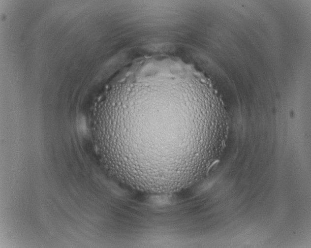 X0000076370089200610202025