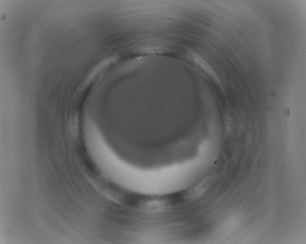 X0000076370163200610202023