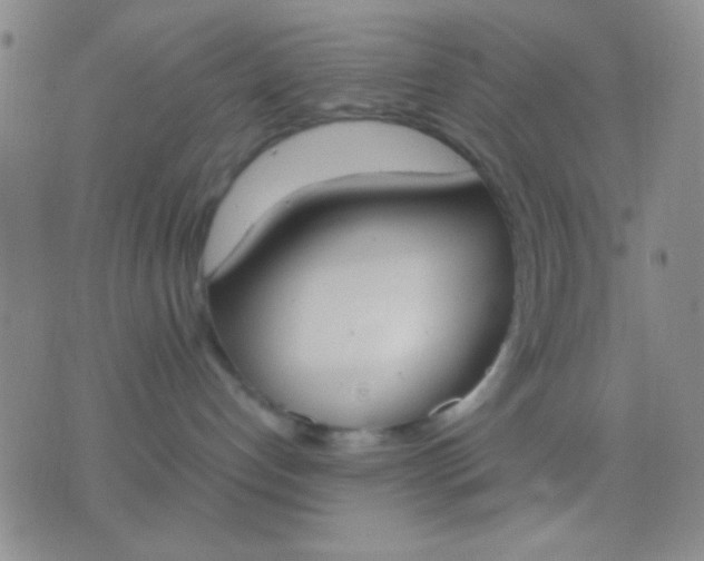 X0000076370192200610202024