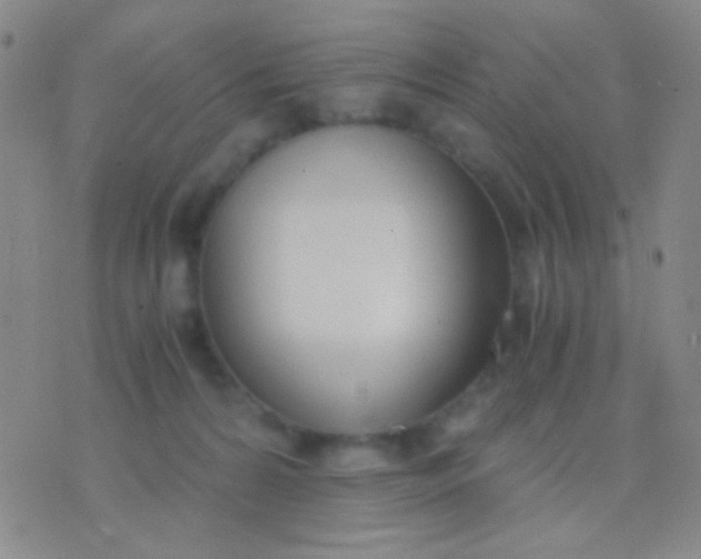 X0000076370224200610202022
