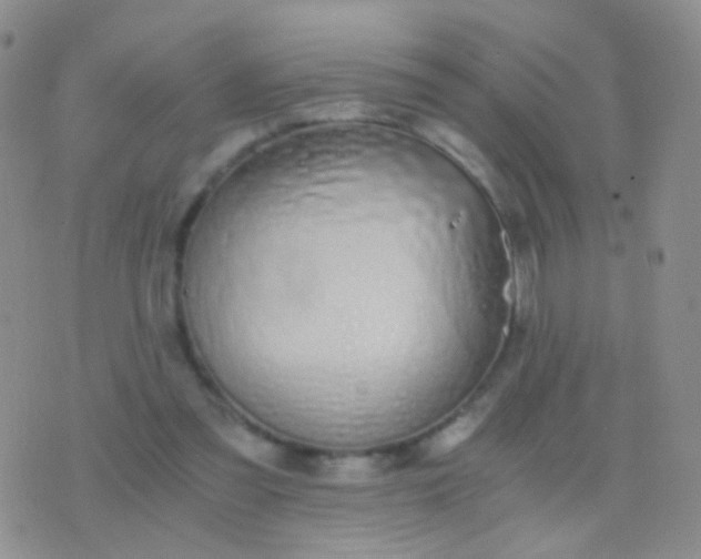 X0000076370301200610202021