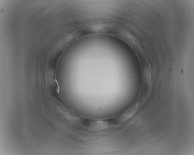 X0000076370421200610202019