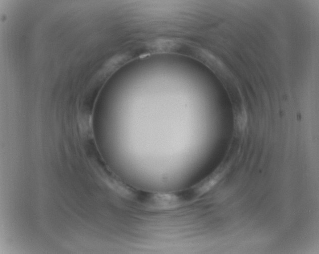 X0000076370429200610202019