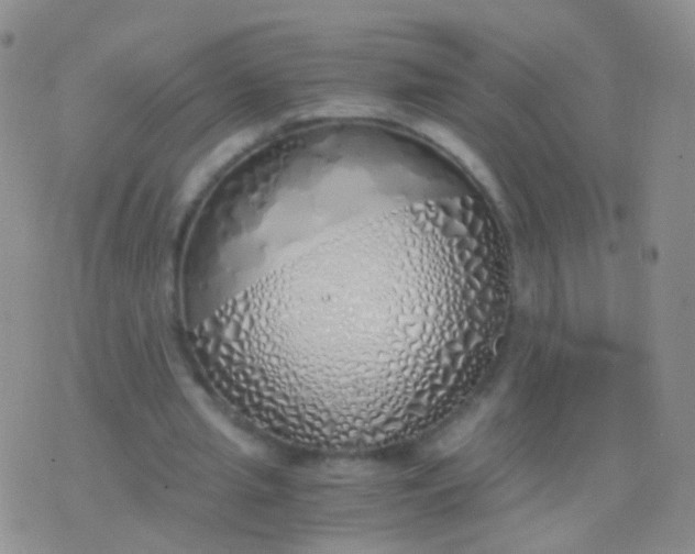X0000076370437200610202018