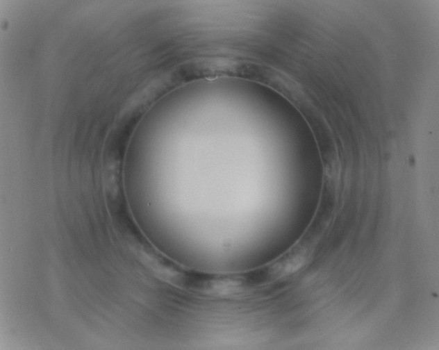 X0000076370462200610202018