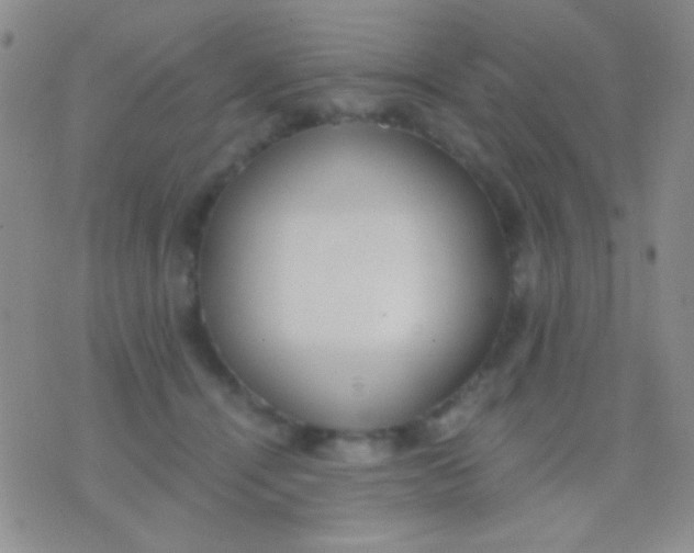 X0000076370464200610202018