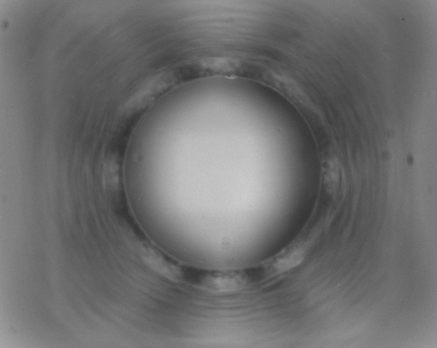 X0000076370466200610202018