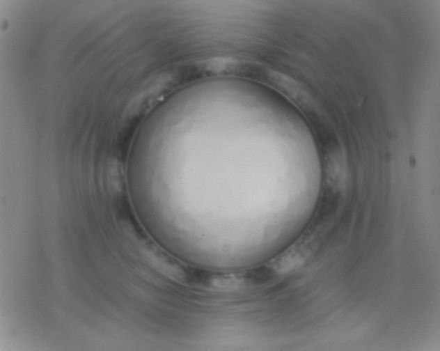 X0000076370470200610202019