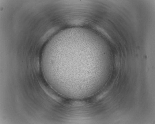 X0000076370494200610202018