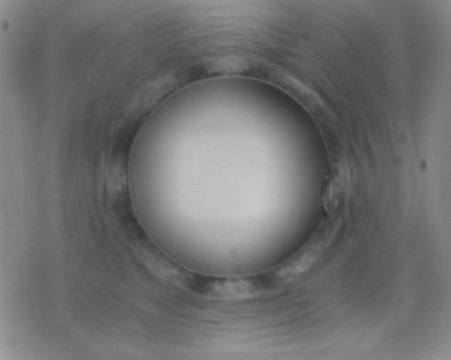 X0000076370517200610202017