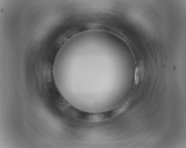 X0000076370525200610202017