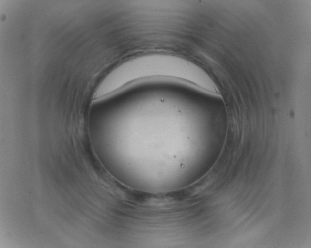 X0000076370556200610202017