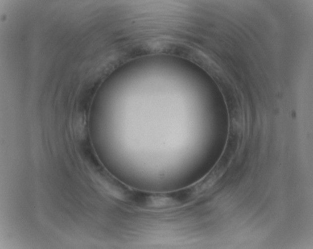 X0000076370605200610202016