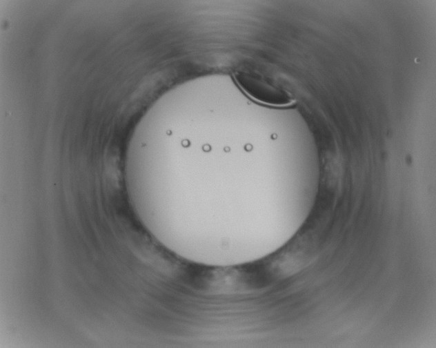 X0000076370612200610202016