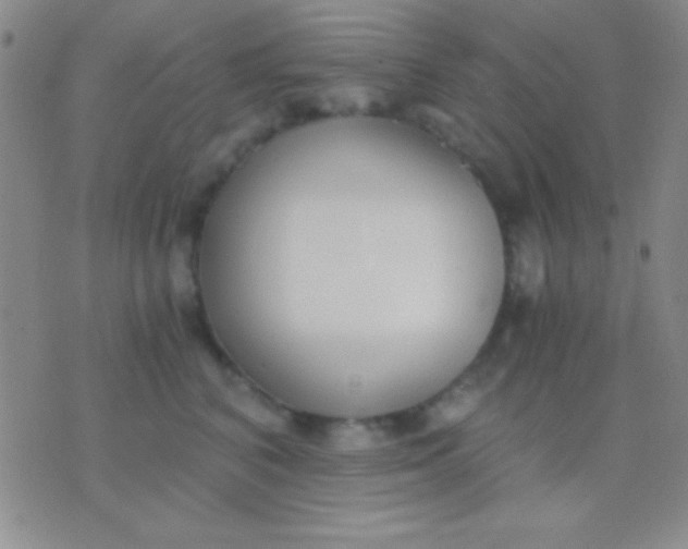 X0000076370616200610202016