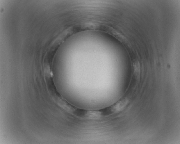 X0000076370617200610202016
