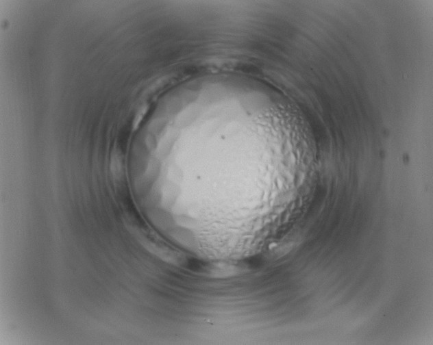 X0000076370623200610202016