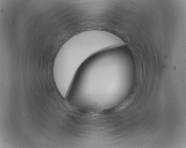 X0000076370624200610202016