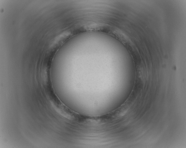 X0000076370690200610202015