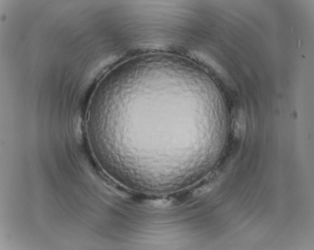 X0000076370692200610202015