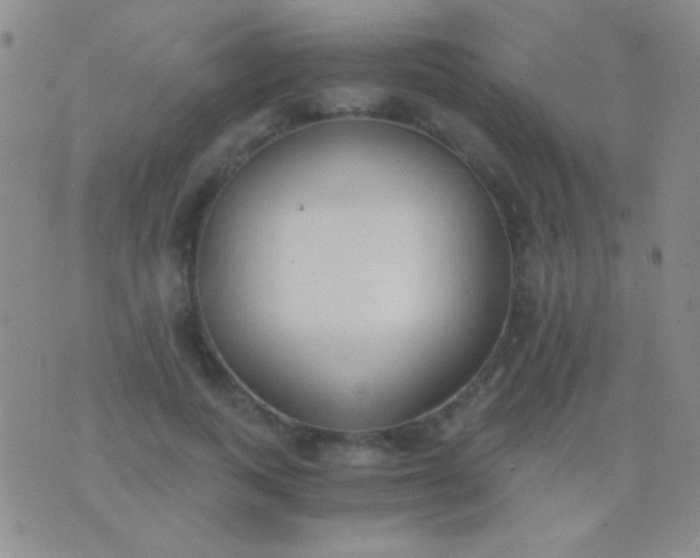 X0000076370743200610202014
