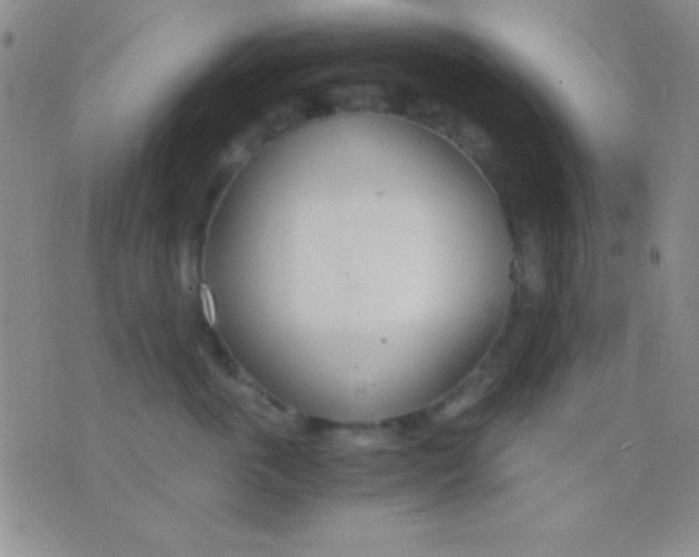 X0000076370763200610202014