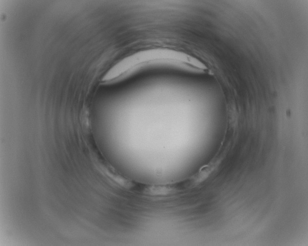 X0000076370766200610202014