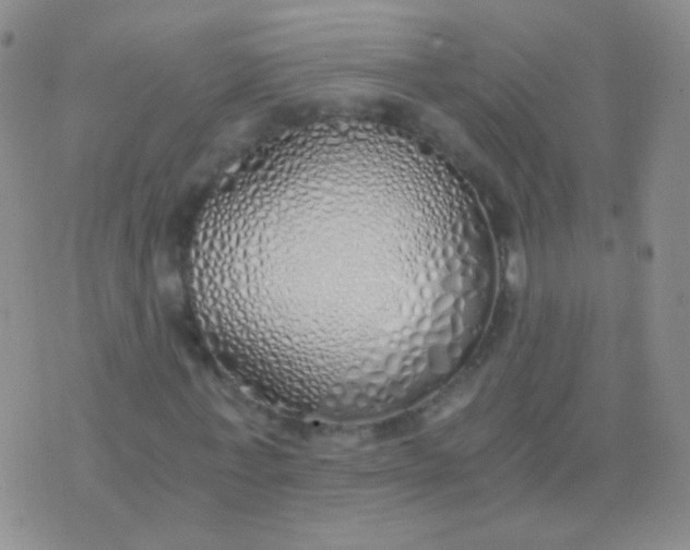 X0000076370771200610202013