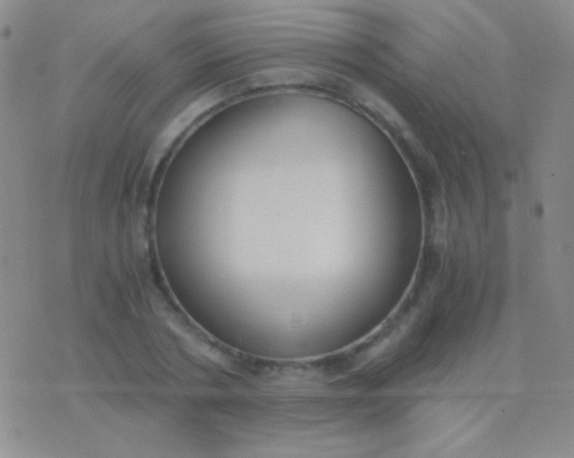 X0000076370786200610202013